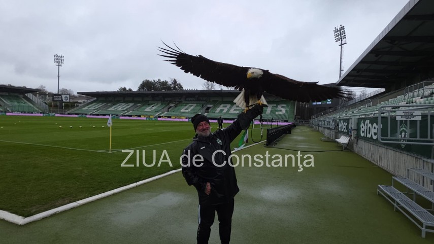 foto video un vultur maiestuos prezenta inedita la meciul ludogoret razgrad farul constanta 932971 foto video un vultur maiestuos prezenta inedita la meciul ludogoret razgrad farul constanta 932971