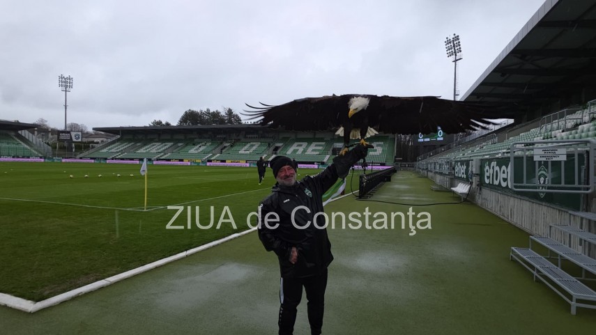 foto video un vultur maiestuos prezenta inedita la meciul ludogoret razgrad farul constanta 932971 foto video un vultur maiestuos prezenta inedita la meciul ludogoret razgrad farul constanta 932971