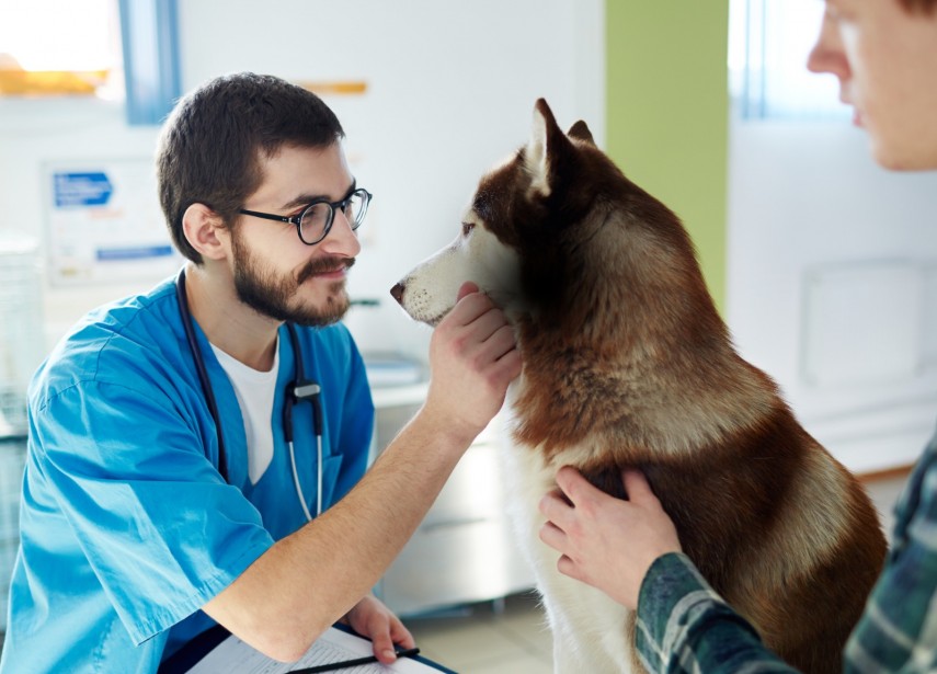 Sursa foto: Primăria Constanța