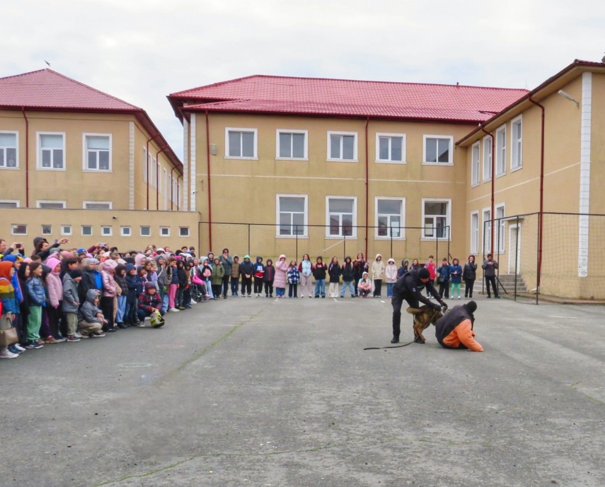 gjm constanta jandarmii constanteni activitate educativa dedicata elevilor din ciclul primar al liceului gjm constanta jandarmii constanteni activitate educativa dedicata elevilor din ciclul primar al liceului