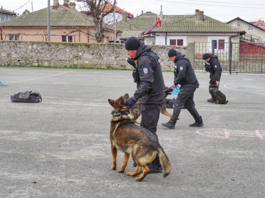 gjm constanta jandarmii constanteni activitate educativa dedicata elevilor din ciclul primar al liceului gjm constanta jandarmii constanteni activitate educativa dedicata elevilor din ciclul primar al liceului