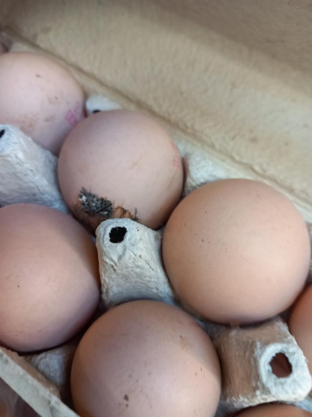 foto peste 1700 de operatori economici verificati de anpc inaintea sarbatorilor pascale au fost aplicate