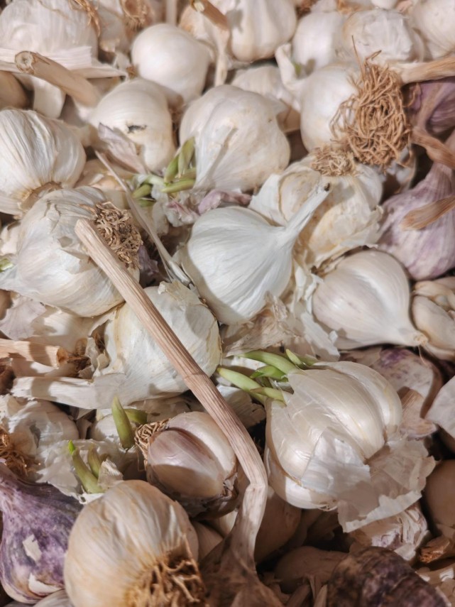 foto peste 1700 de operatori economici verificati de anpc inaintea sarbatorilor pascale au fost aplicate