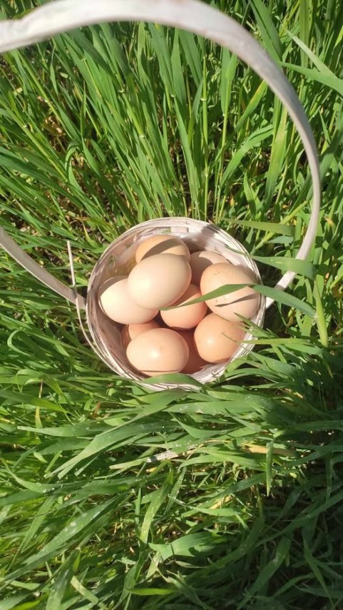 Sursa foto: Facebook/ Muzeul de Artă Populară Constanța