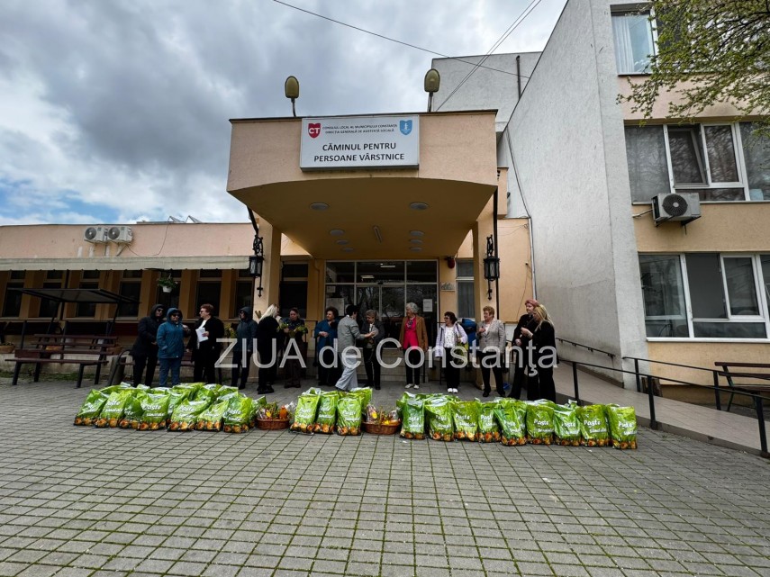 foto video mariana gaju si femeile social democrate din judetul constanta aduc spiritul pastelui persoanelor foto video mariana gaju si femeile social democrate din judetul constanta aduc spiritul pastelui persoanelor