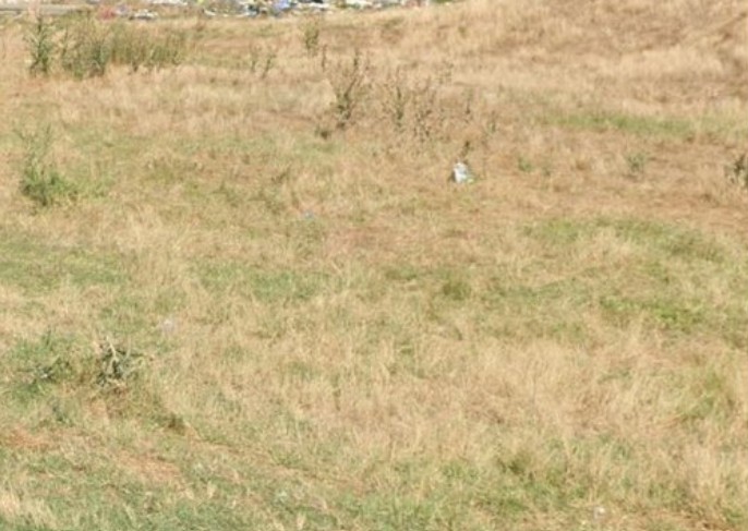 Foto cu rol ilustrativ