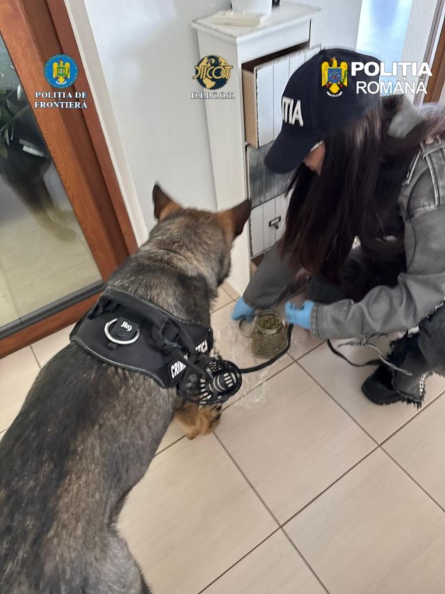 foto suspecti de trafic de droguri retinuti pentru 30 de zile ce au gasit anchetatorii in locuintele foto suspecti de trafic de droguri retinuti pentru 30 de zile ce au gasit anchetatorii in locuintele