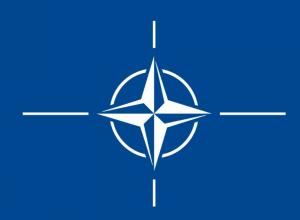 Președintele Parlamentului dintr-o țară UE propune un referendum pentru ieșirea din NATO  