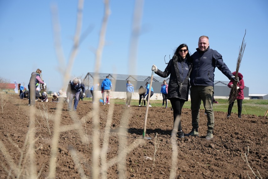 foto primaria si consiliul local cumpana actiune de mobilizare va asteptam cu mic cu mare la plantare foto primaria si consiliul local cumpana actiune de mobilizare va asteptam cu mic cu mare la plantare