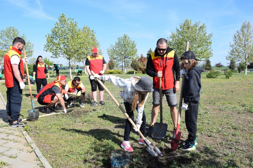 foto primaria si consiliul local cumpana actiune de mobilizare va asteptam cu mic cu mare la plantare foto primaria si consiliul local cumpana actiune de mobilizare va asteptam cu mic cu mare la plantare