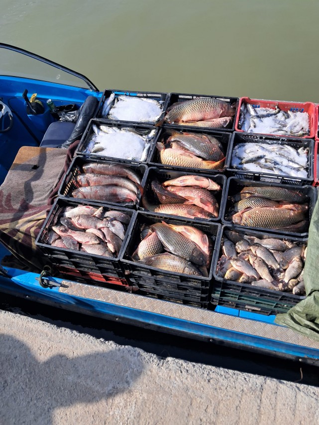 foto arbdd in zonele de pescuit si prohibitie desfasurate pe bratul sfantul gheorghe 934846 foto arbdd in zonele de pescuit si prohibitie desfasurate pe bratul sfantul gheorghe 934846