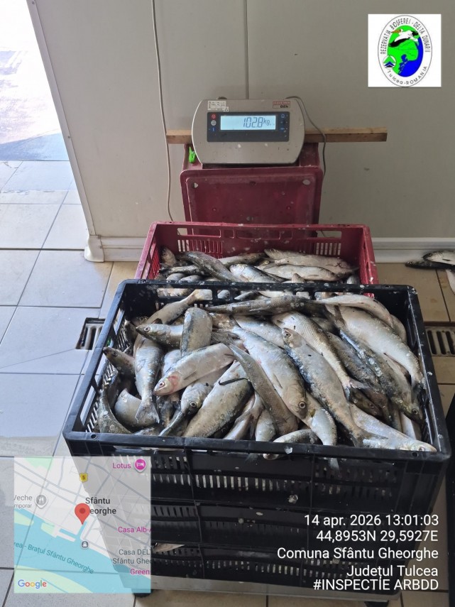 foto arbdd in zonele de pescuit si prohibitie desfasurate pe bratul sfantul gheorghe 934846 foto arbdd in zonele de pescuit si prohibitie desfasurate pe bratul sfantul gheorghe 934846