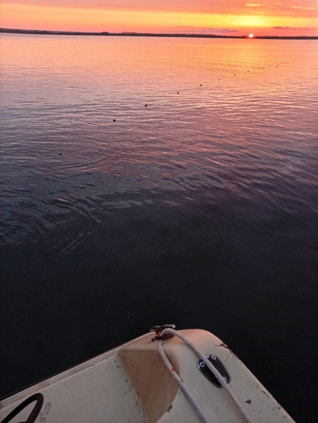 foto arbdd in zonele de pescuit si prohibitie desfasurate pe bratul sfantul gheorghe 934846 foto arbdd in zonele de pescuit si prohibitie desfasurate pe bratul sfantul gheorghe 934846