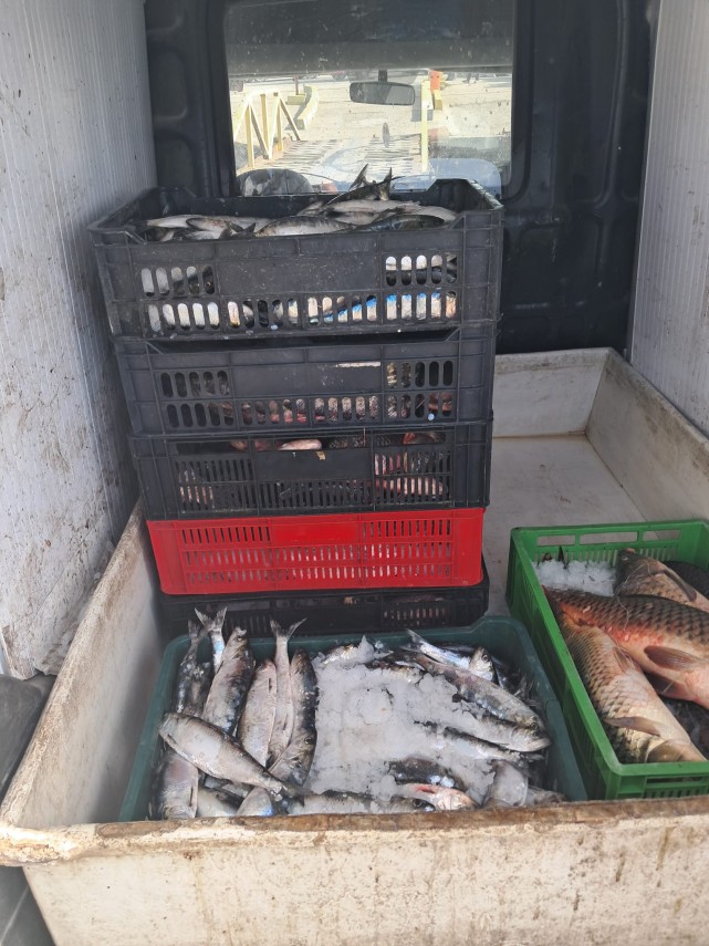 foto arbdd in zonele de pescuit si prohibitie desfasurate pe bratul sfantul gheorghe 934846 foto arbdd in zonele de pescuit si prohibitie desfasurate pe bratul sfantul gheorghe 934846