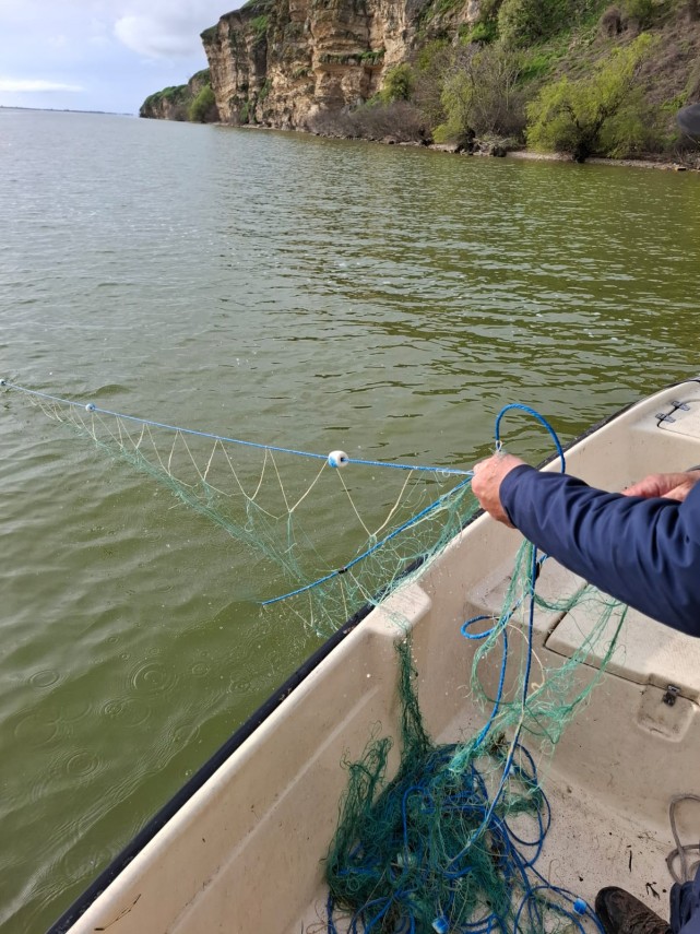 foto arbdd in zonele de pescuit si prohibitie desfasurate pe bratul sfantul gheorghe 934846 foto arbdd in zonele de pescuit si prohibitie desfasurate pe bratul sfantul gheorghe 934846