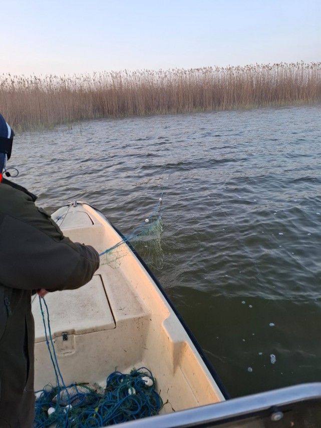 foto arbdd in zonele de pescuit si prohibitie desfasurate pe bratul sfantul gheorghe 934846 foto arbdd in zonele de pescuit si prohibitie desfasurate pe bratul sfantul gheorghe 934846