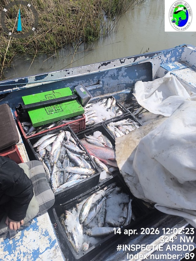 foto arbdd in zonele de pescuit si prohibitie desfasurate pe bratul sfantul gheorghe 934846 foto arbdd in zonele de pescuit si prohibitie desfasurate pe bratul sfantul gheorghe 934846