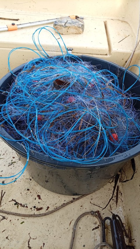 foto arbdd in zonele de pescuit si prohibitie desfasurate pe bratul sfantul gheorghe 934846 foto arbdd in zonele de pescuit si prohibitie desfasurate pe bratul sfantul gheorghe 934846