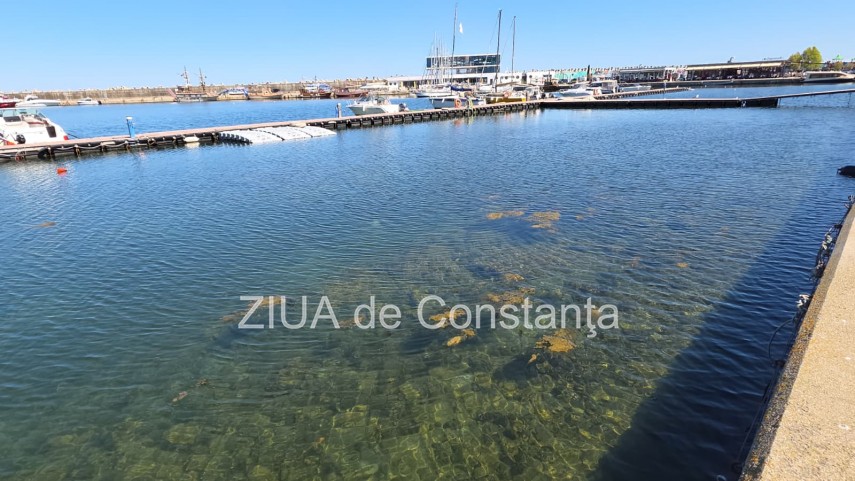 stiri constanta foto video poluare in portul turistic tomis apa insalubra chiar langa terase 934982 stiri constanta foto video poluare in portul turistic tomis apa insalubra chiar langa terase 934982