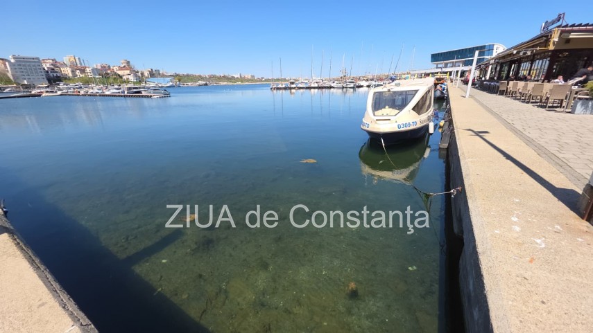 stiri constanta foto video poluare in portul turistic tomis apa insalubra chiar langa terase 934982 stiri constanta foto video poluare in portul turistic tomis apa insalubra chiar langa terase 934982