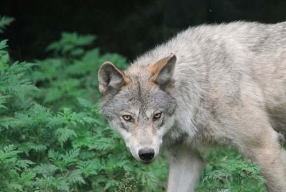 sursa foto: Freepick.com