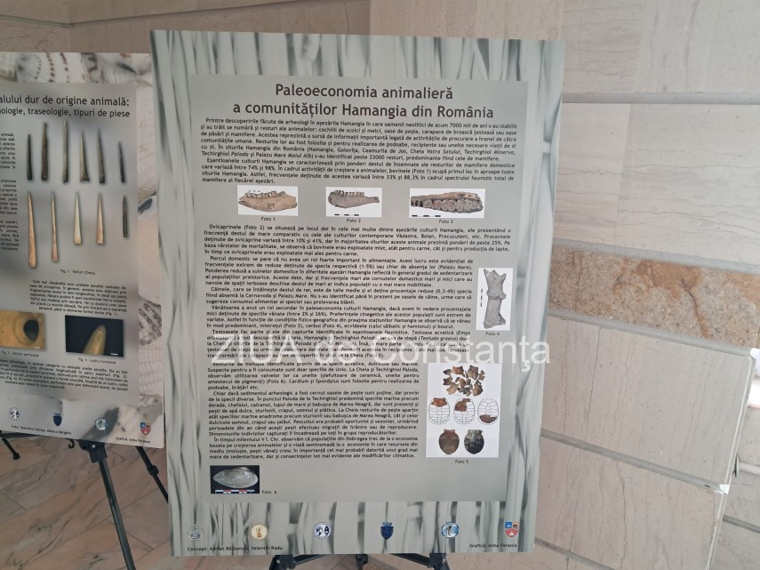 foto video momentul descoperirii arheologice ganditorul si femeia sezand marcat de muzeul de istorie foto video momentul descoperirii arheologice ganditorul si femeia sezand marcat de muzeul de istorie