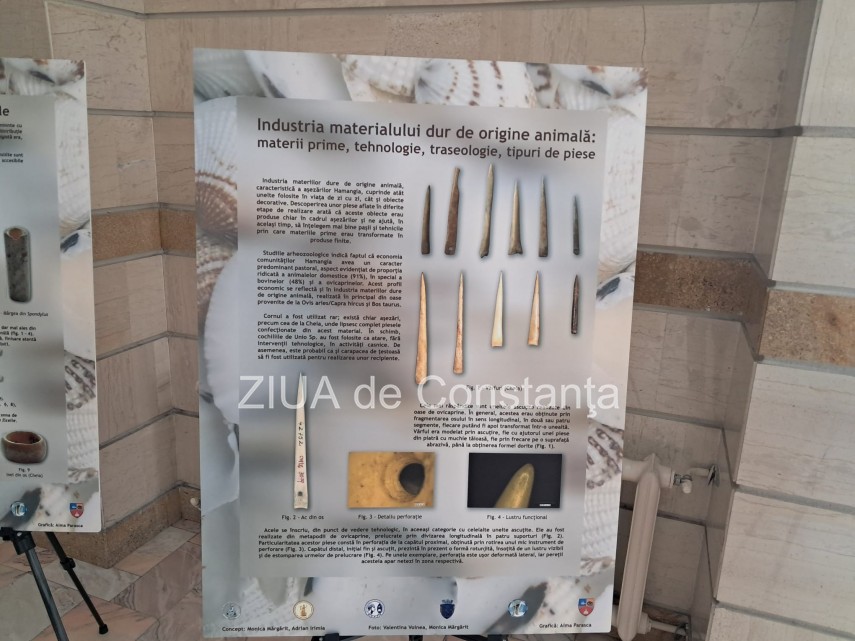 foto video momentul descoperirii arheologice ganditorul si femeia sezand marcat de muzeul de istorie foto video momentul descoperirii arheologice ganditorul si femeia sezand marcat de muzeul de istorie