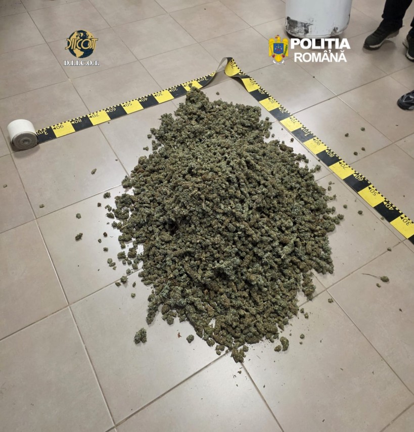 galerie foto un barbat arestat preventiv dupa ce ar fi fost prins transportand 6 5 kg de canabis intr galerie foto un barbat arestat preventiv dupa ce ar fi fost prins transportand 6 5 kg de canabis intr