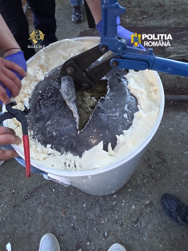 galerie foto un barbat arestat preventiv dupa ce ar fi fost prins transportand 6 5 kg de canabis intr galerie foto un barbat arestat preventiv dupa ce ar fi fost prins transportand 6 5 kg de canabis intr