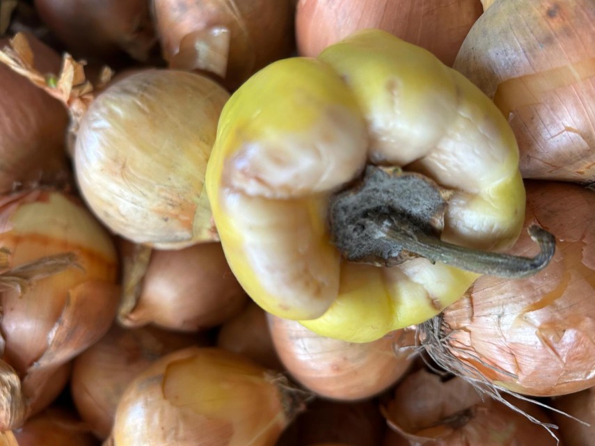 foto peste 1 100 de amenzi si sanctiuni aplicate de anpc in controalele nationale privind siguranta produselor foto peste 1 100 de amenzi si sanctiuni aplicate de anpc in controalele nationale privind siguranta produselor