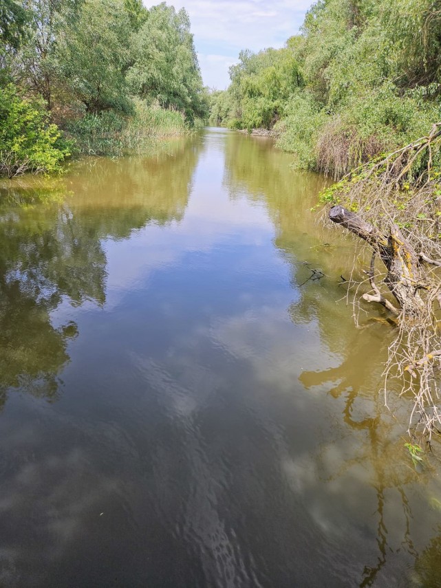 curatenie in delta dunarii foto canale deblocate pentru barci si saci cu deseuri stransi de pe plajele curatenie in delta dunarii foto canale deblocate pentru barci si saci cu deseuri stransi de pe plajele