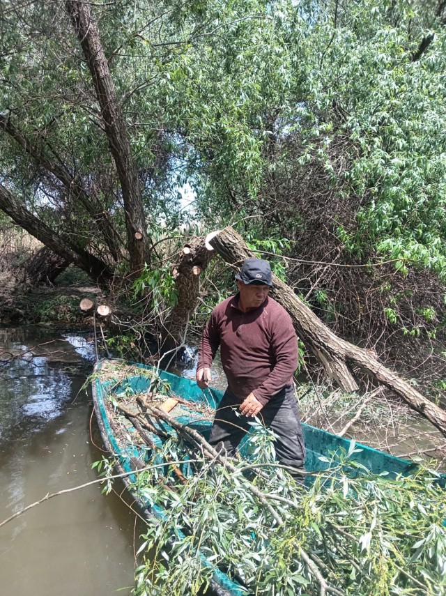 curatenie in delta dunarii foto canale deblocate pentru barci si saci cu deseuri stransi de pe plajele curatenie in delta dunarii foto canale deblocate pentru barci si saci cu deseuri stransi de pe plajele