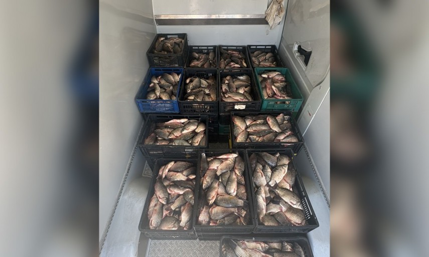 Sursă foto: Garda de Coastă