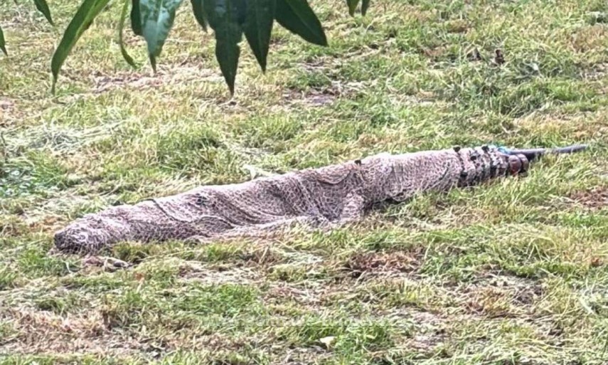 foto actiune de amploare impotriva braconajului piscicol in teleorman si olt bunuri de peste 58 000 de foto actiune de amploare impotriva braconajului piscicol in teleorman si olt bunuri de peste 58 000 de