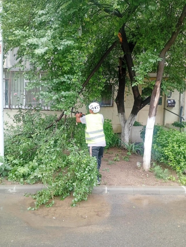 foto bilantul potopului in constanta echipele raja si ale primariei au intervenit in zeci de intersectii foto bilantul potopului in constanta echipele raja si ale primariei au intervenit in zeci de intersectii