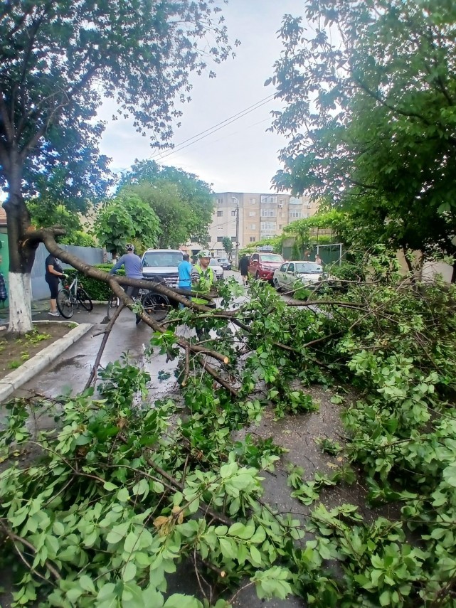 Sursă foto: Primăria Constanța