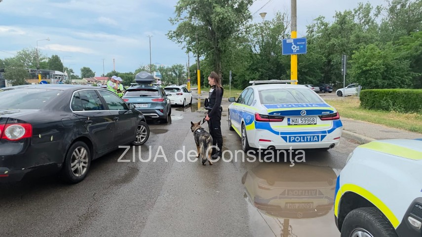 foto video razie de proportii a politistilor la intrarea in mamaia filtre masive in zona aqua magic chiar foto video razie de proportii a politistilor la intrarea in mamaia filtre masive in zona aqua magic chiar