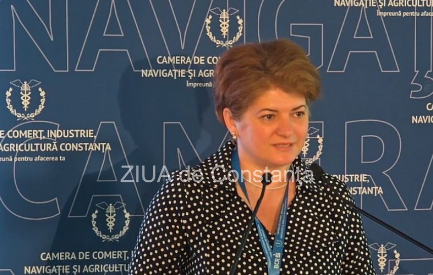 Gilda Valentina Lazăr, vicepreședinte CJ