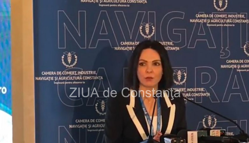 Ruxandra Serescu -manager CCINA