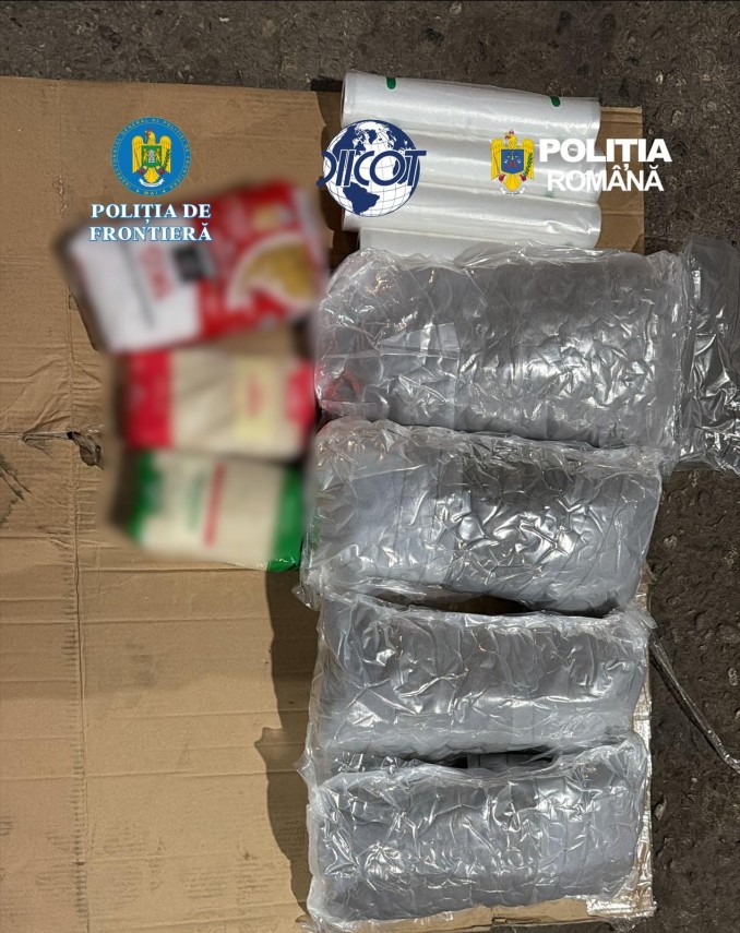 foto video ciuperci halucinogene si cannabis aduse prin curier procurorii cer arestarea preventiva a foto video ciuperci halucinogene si cannabis aduse prin curier procurorii cer arestarea preventiva a
