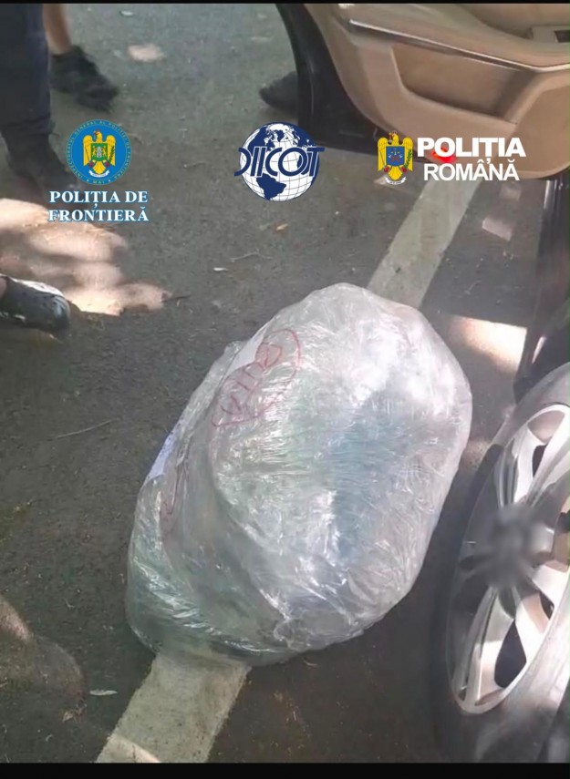 foto video ciuperci halucinogene si cannabis aduse prin curier procurorii cer arestarea preventiva a foto video ciuperci halucinogene si cannabis aduse prin curier procurorii cer arestarea preventiva a
