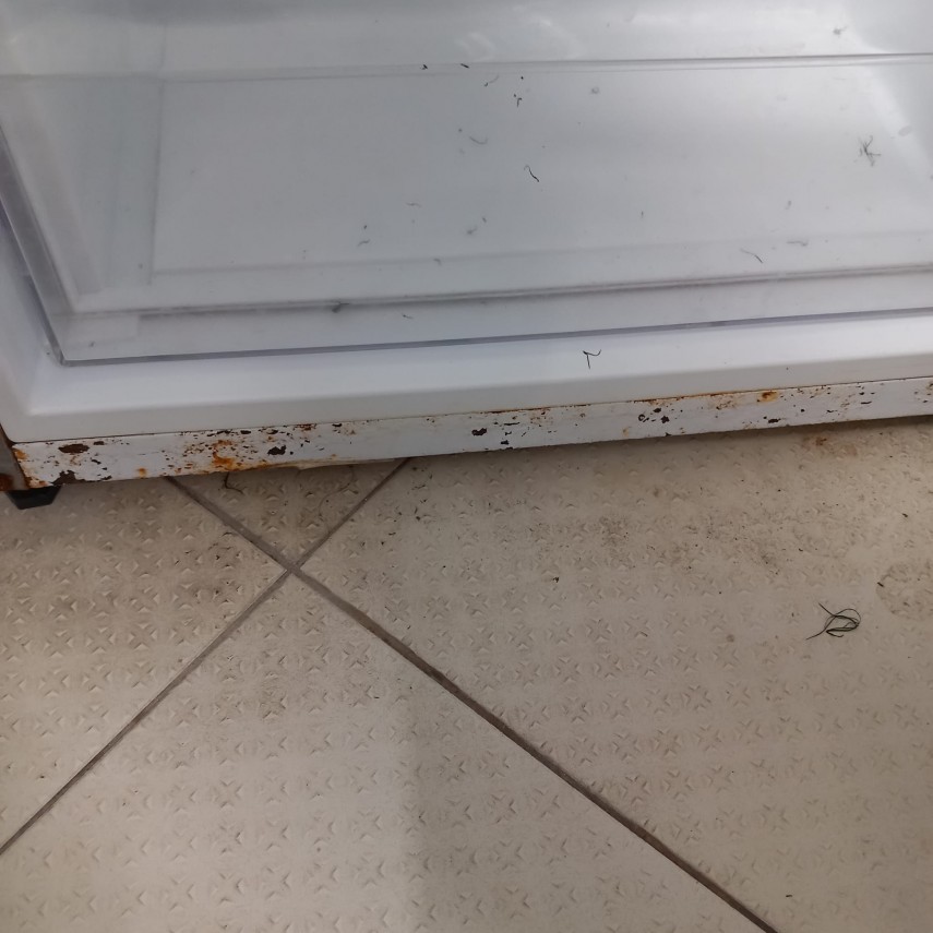 foto control de amploare al comisariulor cjpc constanta mai multe nereguli constatate 942911 foto control de amploare al comisariulor cjpc constanta mai multe nereguli constatate 942911
