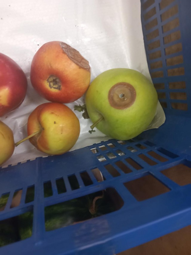 foto anpc controale la peste 1 500 de operatori economici amenzi de peste 4 4 milioane de lei si produse foto anpc controale la peste 1 500 de operatori economici amenzi de peste 4 4 milioane de lei si produse