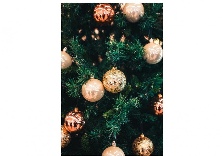 Foto cu rol ilustrativ. Sursă foto: Unsplash