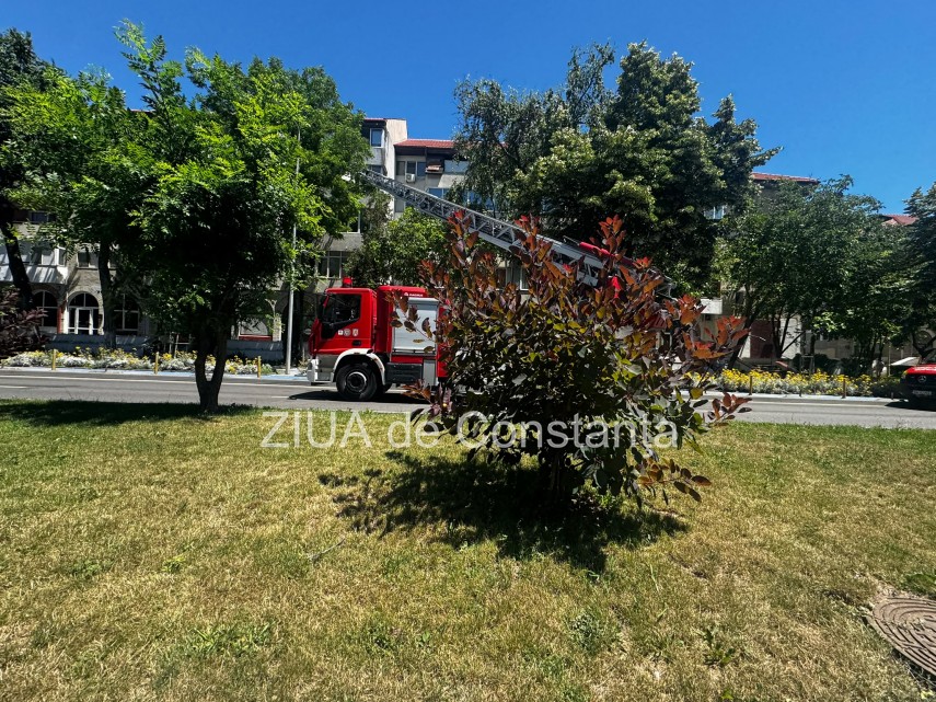 stiri constanta foto pompierii au intervenit la delfinariu pentru salvarea unui pescarus trafic oprit stiri constanta foto pompierii au intervenit la delfinariu pentru salvarea unui pescarus trafic oprit