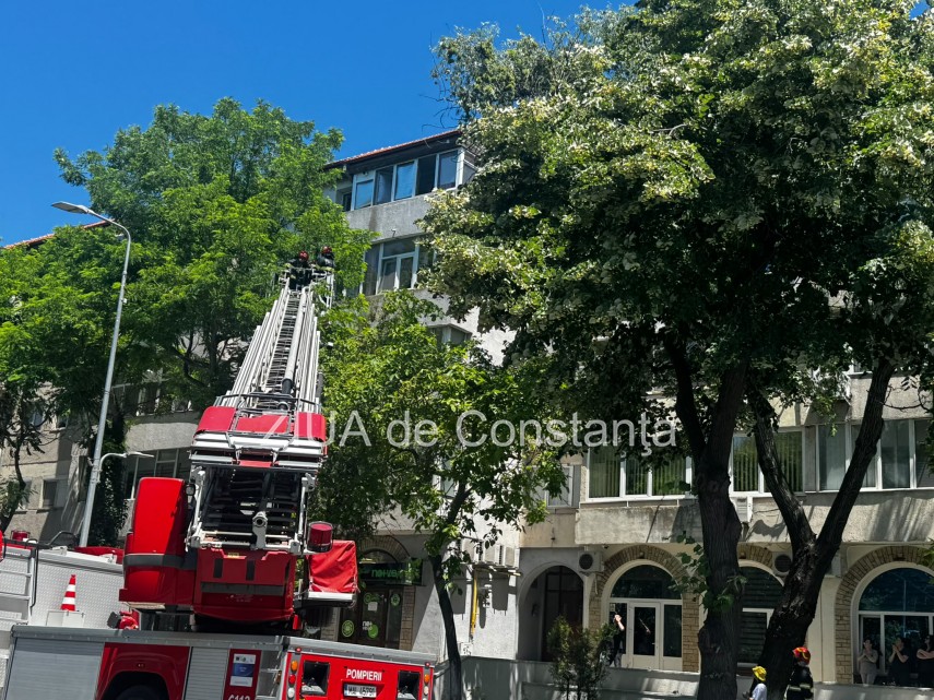stiri constanta foto pompierii au intervenit la delfinariu pentru salvarea unui pescarus trafic oprit stiri constanta foto pompierii au intervenit la delfinariu pentru salvarea unui pescarus trafic oprit