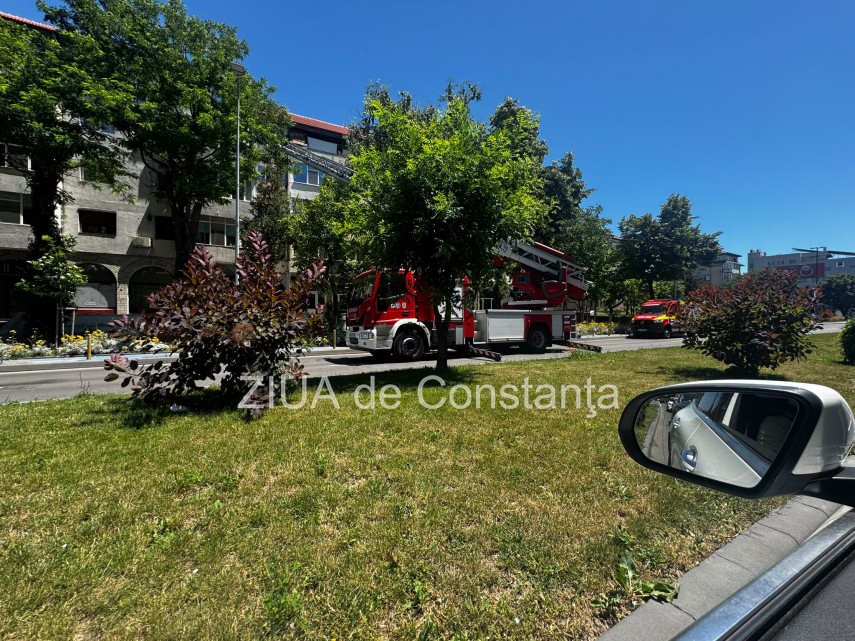 stiri constanta foto pompierii au intervenit la delfinariu pentru salvarea unui pescarus trafic oprit stiri constanta foto pompierii au intervenit la delfinariu pentru salvarea unui pescarus trafic oprit