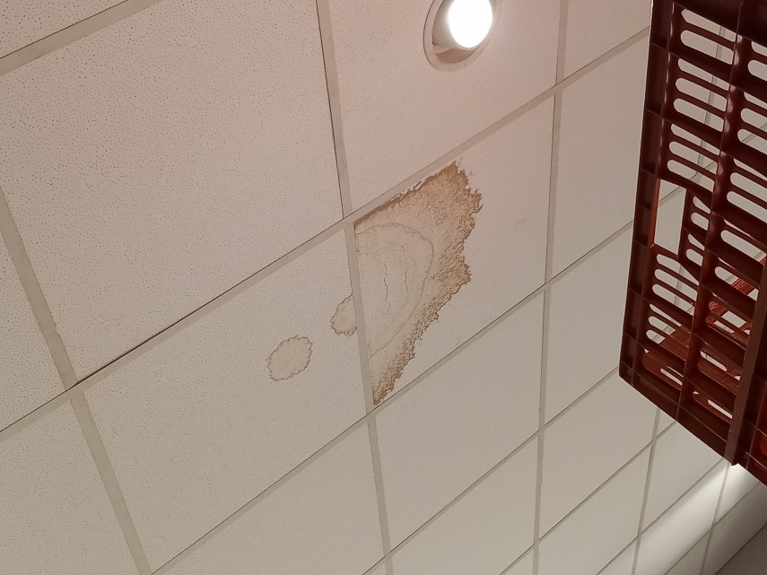 foto comisarii cjpc constanta au inchis lidl navodari ce nereguli au fost constatate 943550 foto comisarii cjpc constanta au inchis lidl navodari ce nereguli au fost constatate 943550