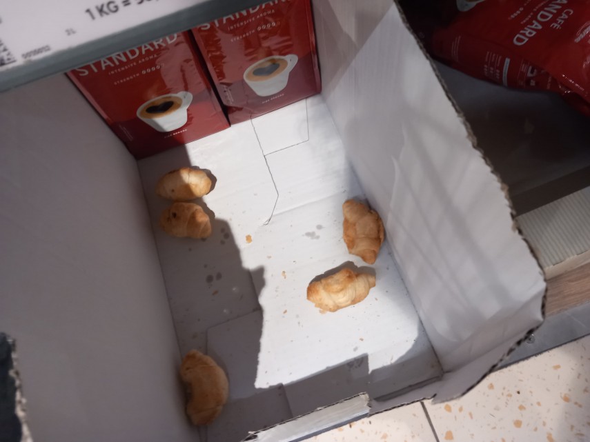 foto comisarii cjpc constanta au inchis lidl navodari ce nereguli au fost constatate 943550 foto comisarii cjpc constanta au inchis lidl navodari ce nereguli au fost constatate 943550