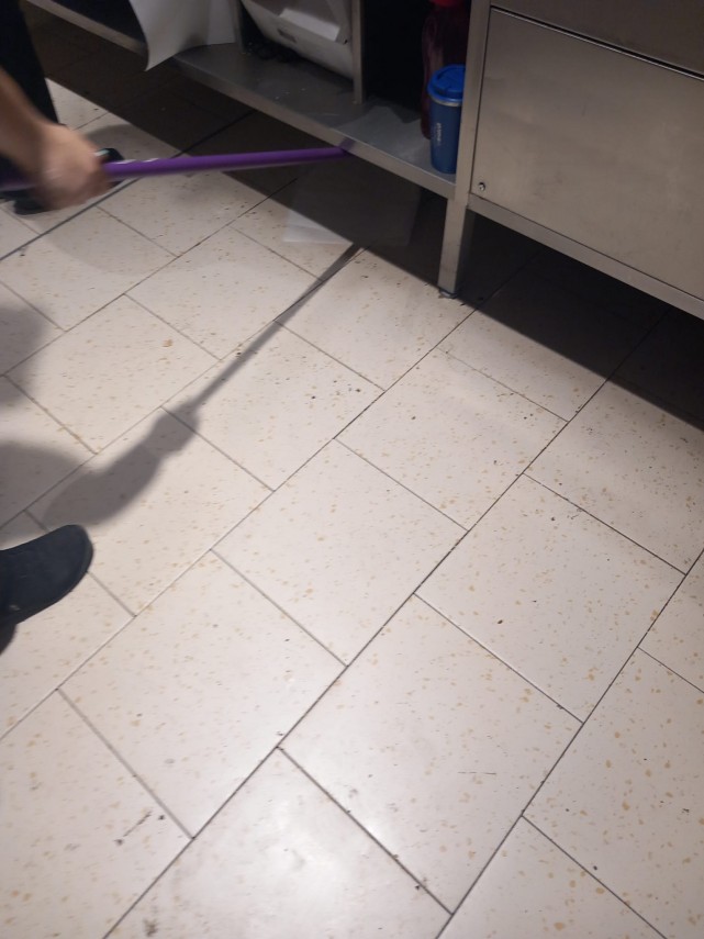 foto comisarii cjpc constanta au inchis lidl navodari ce nereguli au fost constatate 943550 foto comisarii cjpc constanta au inchis lidl navodari ce nereguli au fost constatate 943550